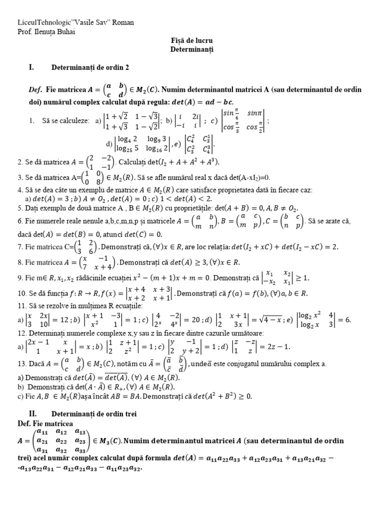 Fisa 1 Determinanti | PDF