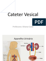 Cateter Vesical