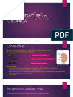 Enfermedad Renal Cronica