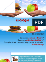 Organisme Omnivore