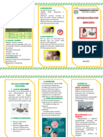 Triptico Mercurio