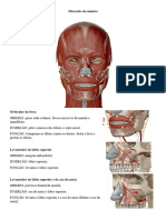 Músculos Da Mimica