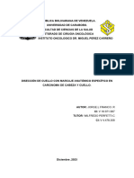 Trabajo Especial de Grado Del Residente Jorge Franco