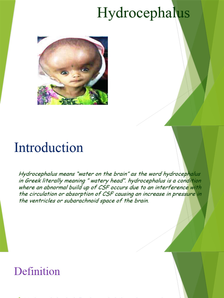 Hydrocephalus Presentation | PDF | Cerebrospinal Fluid | Medicine