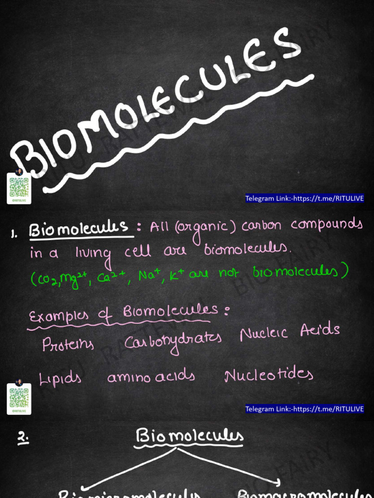 Biomolecules (Hand Written Notes) - Compressed | PDF