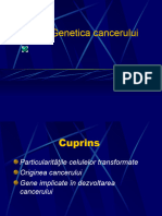 5 3 Genetica Cancerului