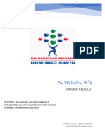 CALCULO Practico 1 Investigacion PDF