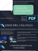 PROYECTO INTEGRADOR 3 - Aplicaciones Del Calculo