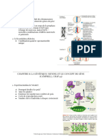 Cours de Biologie 1.81 (Dernière Partie Du Cours)