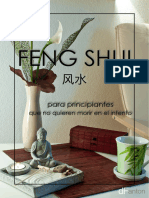 Feng Shui - Del Sur