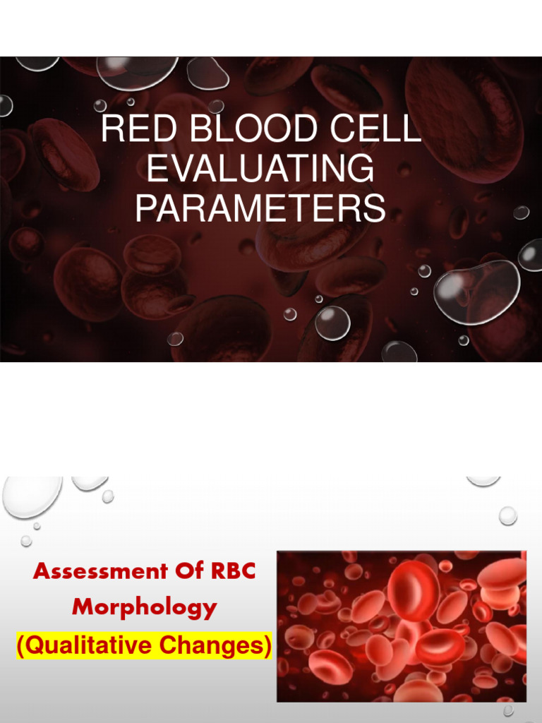 Hematology 2 | Download Free PDF | Anemia | Red Blood Cell
