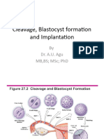 Cleavage, Blastocyte Formation and Implantation