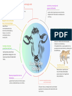 Mapa Mental Ganaderia