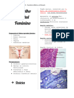 Aparelho Genital Feminino - Histo-3