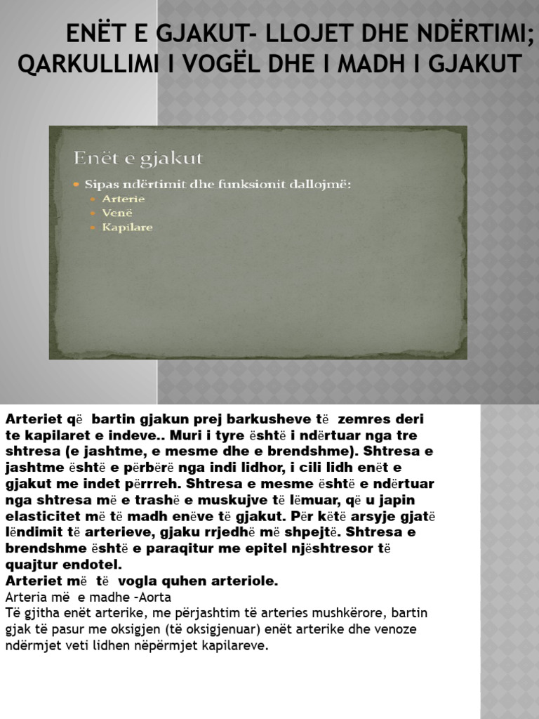 Enët e Gjakut - Llojet Dhe Ndërtimi | PDF