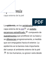 Epidermis - Wikipedia, La Enciclopedia Libre
