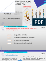 7 Los Principios Doctrinarios Del Derecho Del Trabajo en La Constitucion