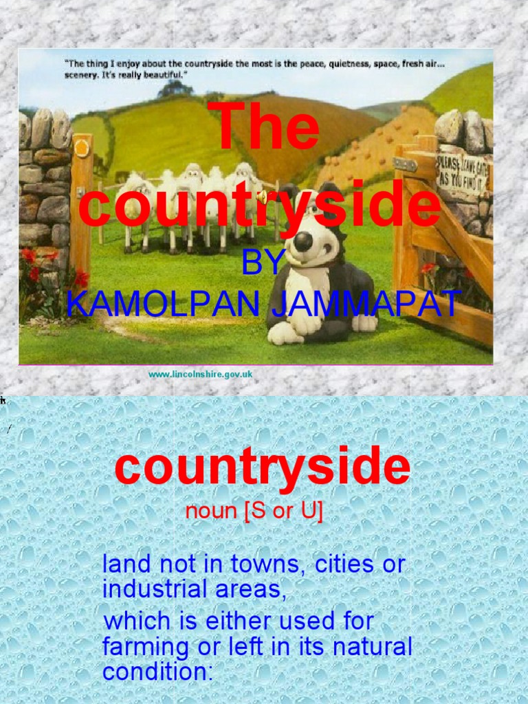 Rural vs Urban: Understanding the Countryside | PDF