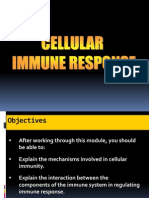 IRCelular11 (Stu)