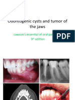 Odontogenic Cysts and Tumor of The Jaws
