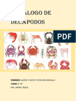 Catálogo de Dedapodos
