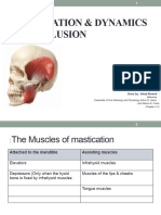 Mastication Physio