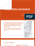 Anatomia Mamaria