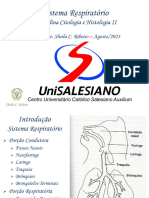 Sistema Respiratorio PDF