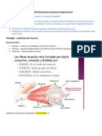 CONTRACCION DEL MUSCULO ESQUELETICO - Dennys Palma Suárez