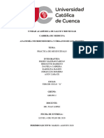 Copia de Práctica de Anatomía - Informe de Mesencéfalo