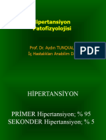 Hipertansiyon Patofizyolojisi: Prof. Dr. Aydın TUNÇKALE İç Hastalıkları Anabilim Dalı