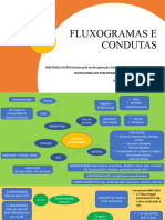 Fluxograma e Conduta Programa Acerto