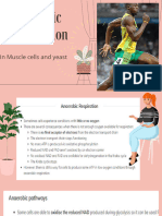 Anaerobic Respiration Updated