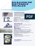 Infografia de Meristemos