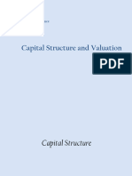 YH - Session5 - Capital Structure