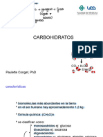 3 1 - Carbohidratos
