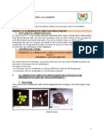 SVT 5ème - l3 - La Croissance Chez Les Mollusques
