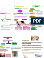 Curacion de Heridas Cutaneas