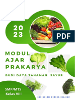 Modul Ajar Prakarya-Budi Daya - Budidaya Tanaman Sayuran - Fase D