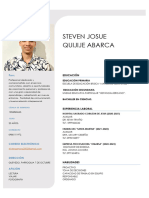 Curriculum Vitae Stiven