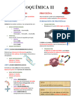 Bioquímica Ii