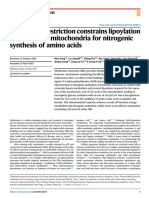 Methionine Restriction Constrains Lipoylation and Activates Mitochondria For Nitrogenic Synthesis of Amino Acids