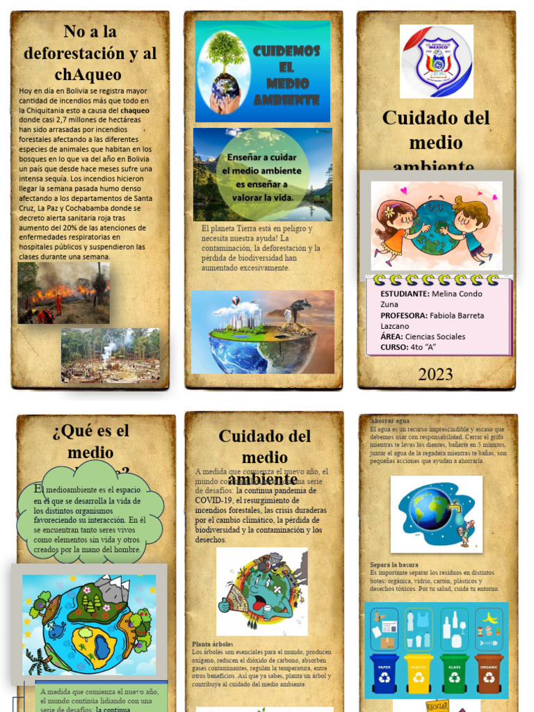 Triptico Medio Ambiente | Descargar gratis PDF | Residuos | Contaminación