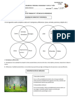 TECNICAS ESTUDIO SIMILITUD Y DIFERENCIA PRACT Nro 2 - 1° - IV Bim 2021