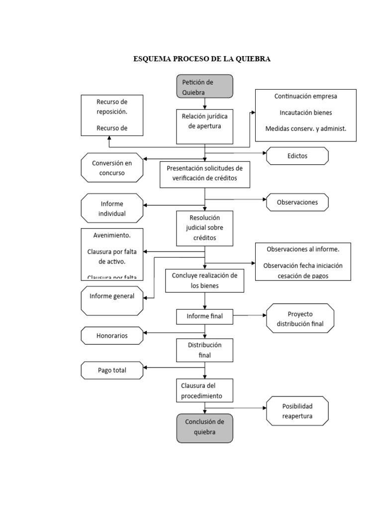 Esquema Proceso de La Quiebra | PDF