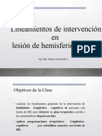 Clase 3. Intervención Lesiones HD