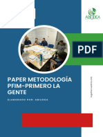 Paper Metodología Pfim-Primero La Gente