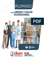 Seguridad y Salud Ocupacional