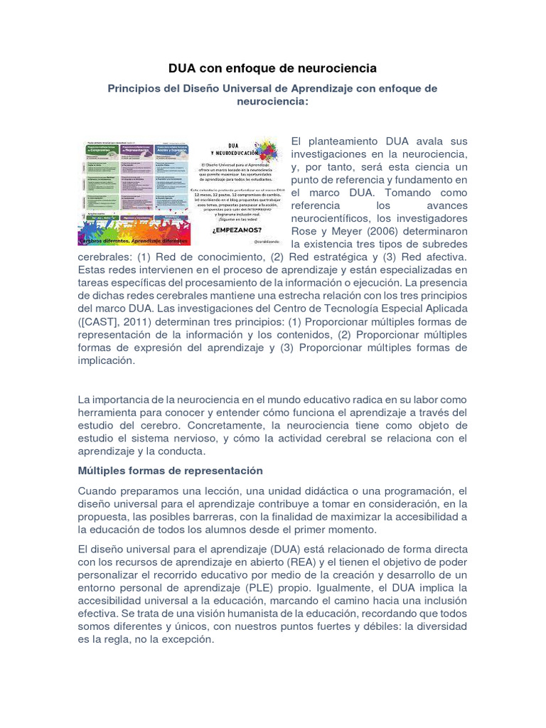 DUA y Neurociencia en Educación | PDF | Aprendizaje | Neurociencia