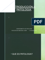 Introduccion A Patologia, II SMESTRE 2022pptx1